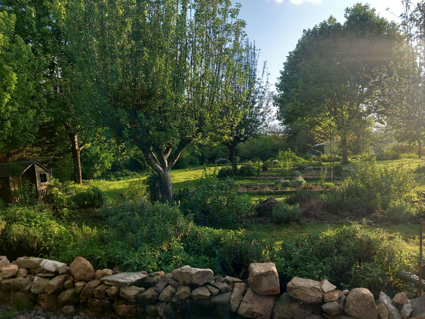 Jardin en pente bordé d’un muret de pierres, arbres fruitiers et massifs fleuris